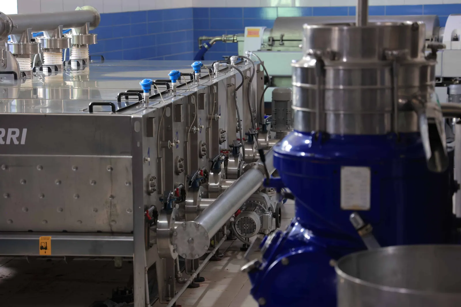 Fresh olive oil from cold extraction at Valmi